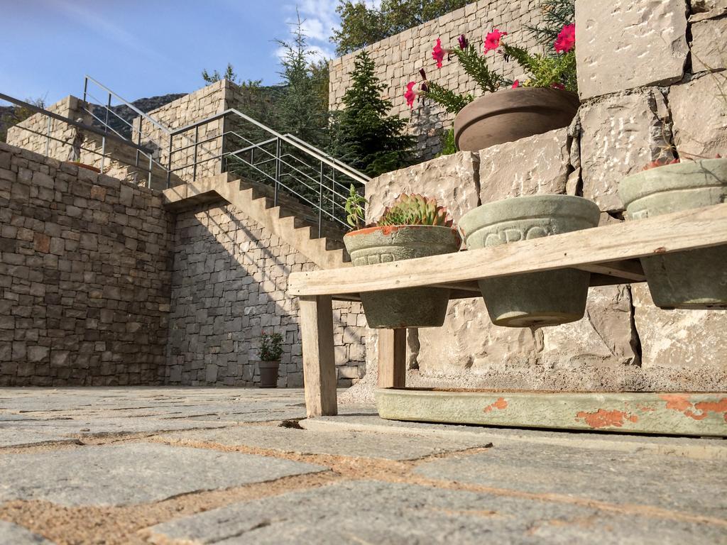 Elafivolia Arachova Suites מראה חיצוני תמונה